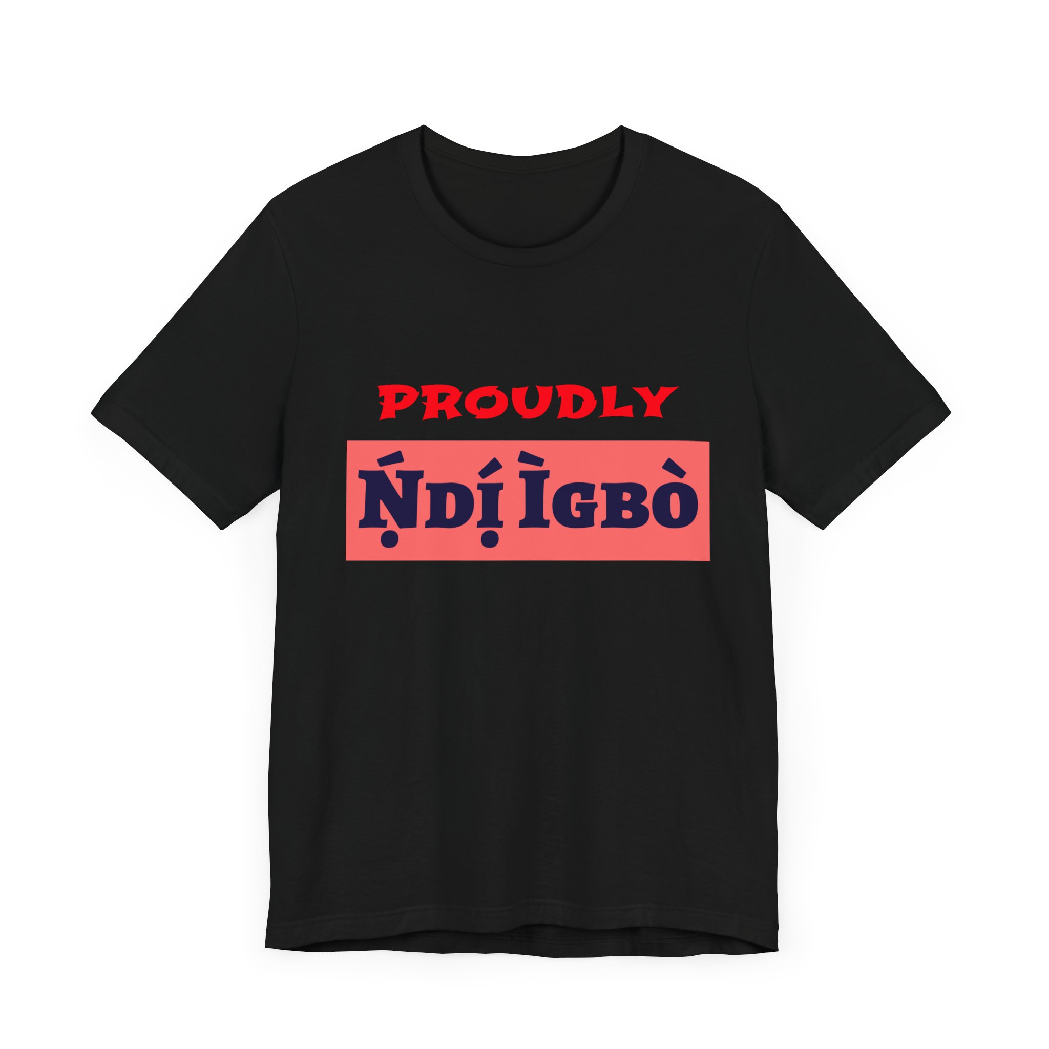 “Proudly Ndi Igbo” T-Shirt - Image 4